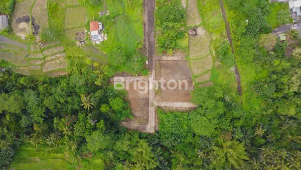image INVESTASI TANAH KAVLING STRATEGIS DI KAWASAN WISATA GIANYAR (4)