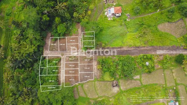 image INVESTASI TANAH KAVLING STRATEGIS DI KAWASAN WISATA GIANYAR (2)