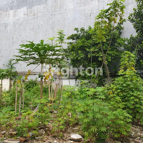 image DIJUAL TANAH STRATEGIS DI JL. LAUSER KEBAYORAN BARU JAKARTA SELATAN (5)