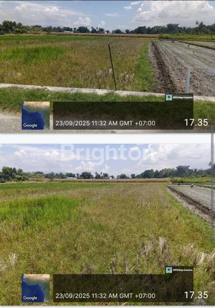 image LAHAN 1584 M² DI TAMBUNAN LUMBAN GAOL (5)