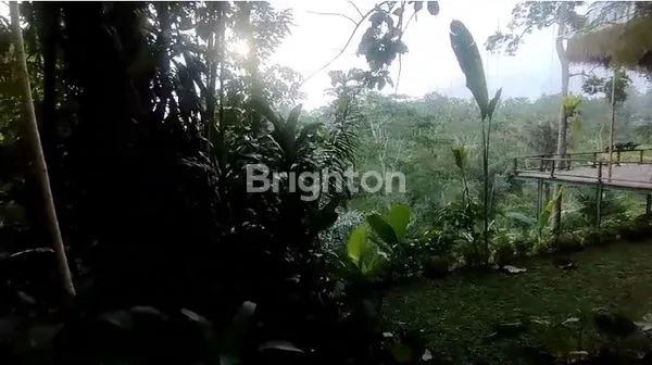image TANAH SEWA VIEW LEMBAH DEKAT TIRTA EMPUL TAMPAKSIRING (3)