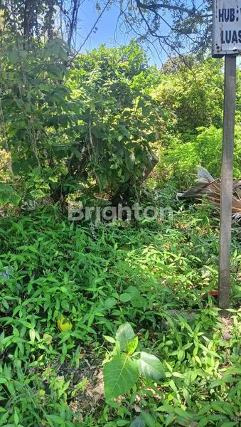 image JUAL TANAH 435M² MUMBUL BENOA (1)