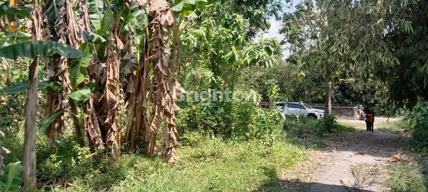 image TANAH LUAS VIEW SUNGAI DAN BANDARA ADI SUCIPTO YOGYAKARTA (4)