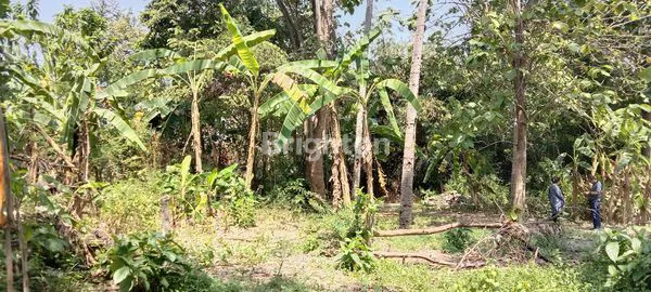 image TANAH LUAS VIEW SUNGAI DAN BANDARA ADI SUCIPTO YOGYAKARTA (3)