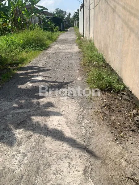 image DIJUAL TANAH MURAH DI BONGAN (2)