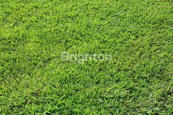 image TANAH PERGUDANGAN BUMI MASPION ROMOKALISARI DEKAT AKSES TOL (1)