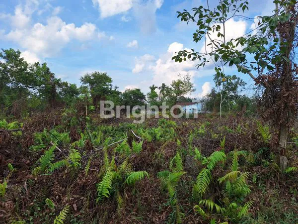 image TANAH DIJUAL (3)