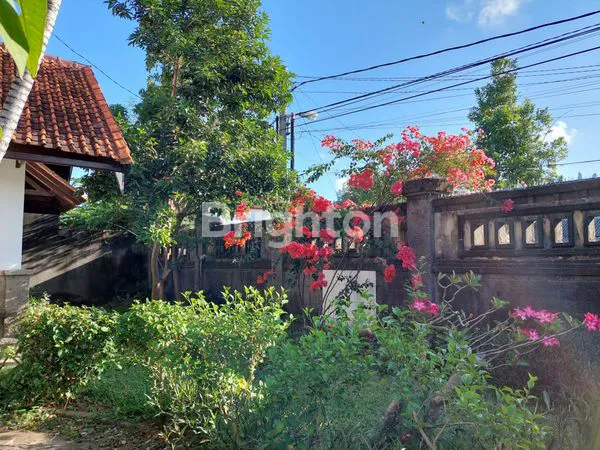 image RUMAH LUAS DAN STRATEGIS DI DEKAT RENON (7)