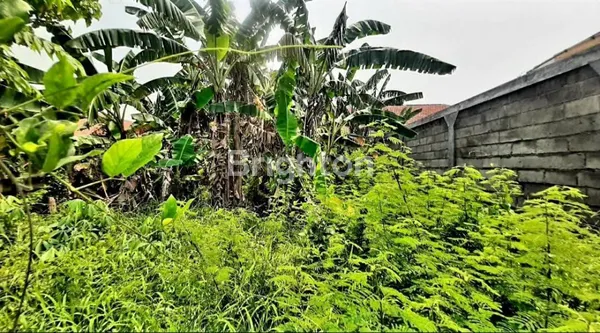 image DIJUAL TANAH DI SEKARDANGAN SIDOARJO SIAP BANGUN SUDAH PAGAR KELILING (2)