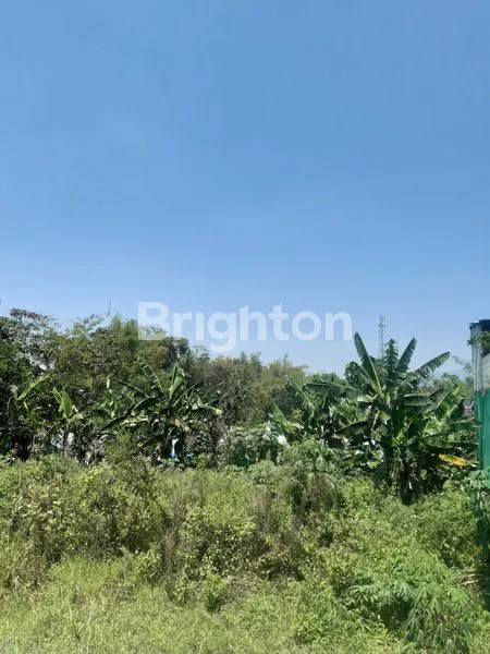 DIJUAL TANAH PREMIUM 675M² AREA MAHASISWA