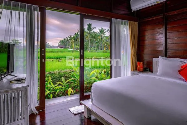 image 12 UNIT VILLA VIEW RICE FIELD TEGALALANG UBUD AREA (5)