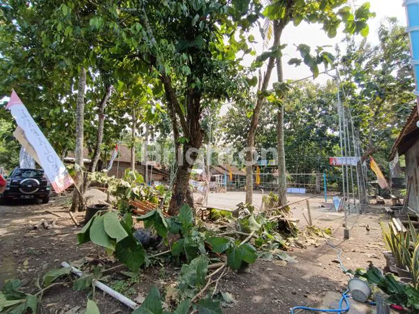 image TANAH PEKARANGAN LUAS DIJUAL DI MINGGIR SLEMAN (4)