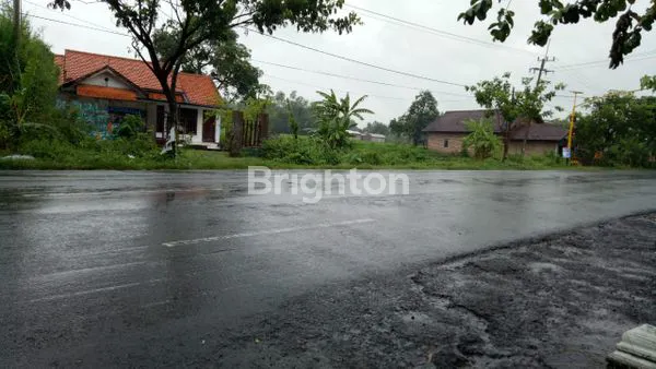 image JUAL TANAH JALAN MOJOKERTO (4)