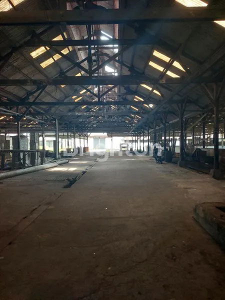 image TANAH BONUS BANGUNAN (6)