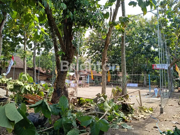 image TANAH PEKARANGAN DI MINGIR LUAS BISA DIBANGUN KAVLING DI MINGGIR SLEMAN (5)