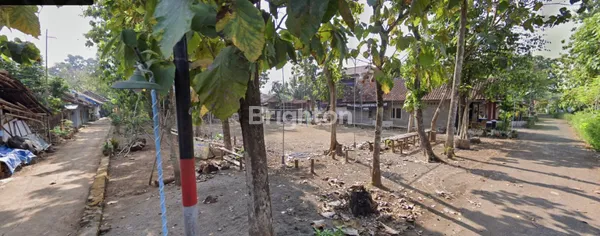 TANAH PEKARANGAN LUAS BISA DIBANGUN KAVLING DI MINGGIR SLEMAN
