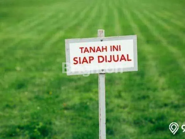 image TANAH WIDANG  (1)