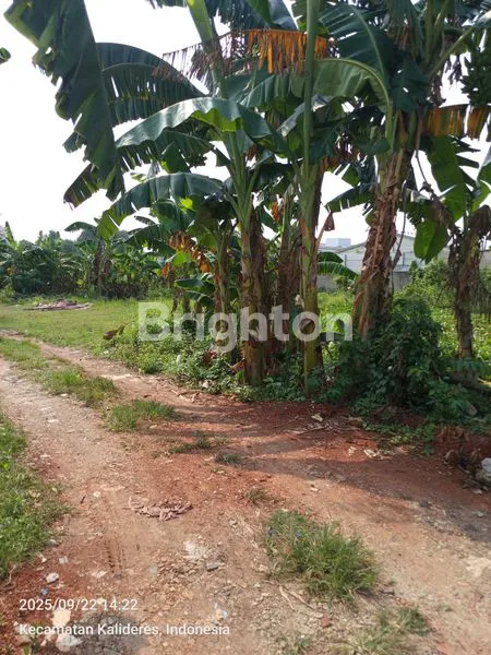 image INVESTASI TANAH SHM 3825M² STRATEGIS DI SEMANAN JAKARTA BARAT (3)