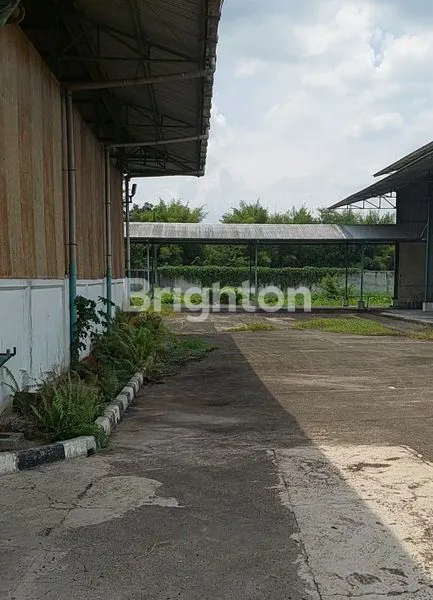 image TANAH BONUS BANGUNAN (8)