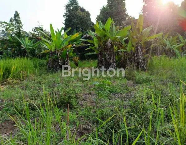 image TANAH PREMIUM 1,3HA YASMIN, DEKAT TRANSMART (2)