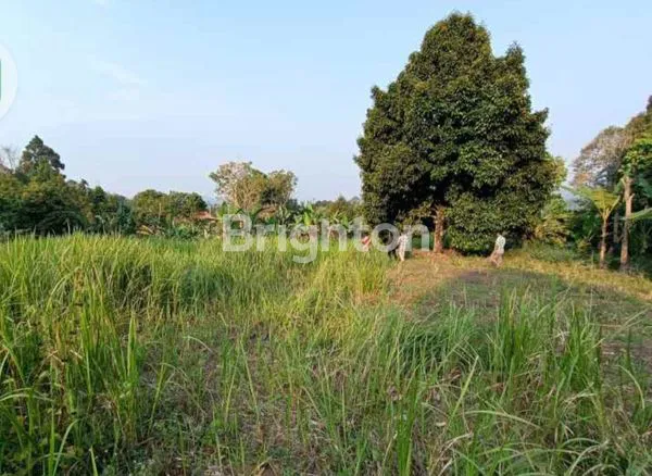 image TANAH PREMIUM 1,3HA YASMIN, DEKAT TRANSMART (3)