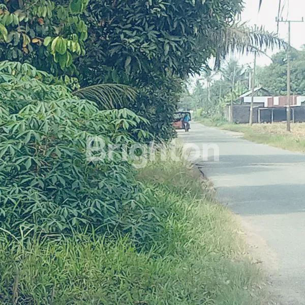 image TANAH 6000 METER PERSEGI  SERTIFIKAT SHM (2)