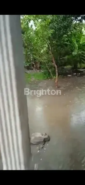 image RUMAH DENGAN TANAH YANG LUAS (6)