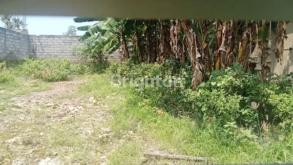 image TANAH SIAP BANGUN DI KAWASAN VILAS KABA KABA DEKAT KE TANAH LOT  (3)