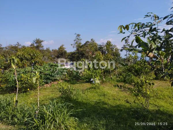 image TANAH MURAH DAERAH BUMIAJI KOTA BATU (6)