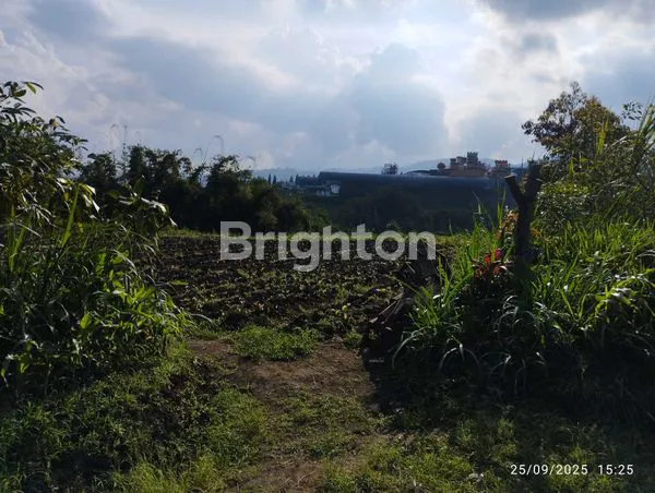 image TANAH MURAH DAERAH BUMIAJI KOTA BATU (7)