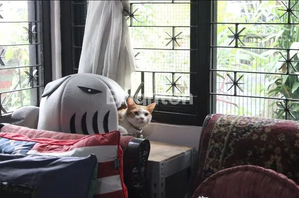 image RUMAH SAYAP TURANGGA (8)