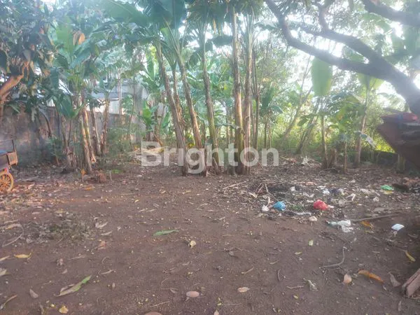 TANAH DI DAERAH PENGGARON KIDUL