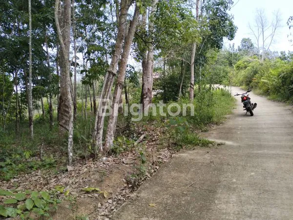 image TANAH STRATEGIS YANG SIAP PAKAI DI TERITIP, BALIKPAPAN (3)