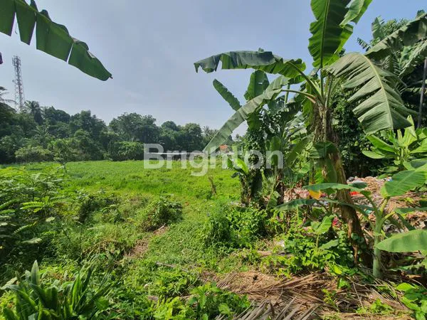 image TANAH MURAH SANGAT STRATEGIS DI JONGGOL  (3)