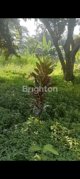 image TANAH LUAS COCOK BUAT GUDANG / PABRIK DI CISEENG  (5)