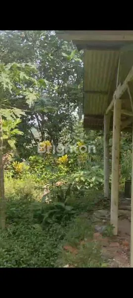 image TANAH LUAS COCOK BUAT GUDANG / PABRIK DI CISEENG  (1)