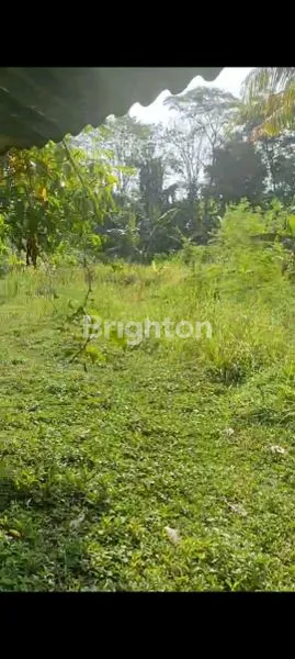 image TANAH LUAS COCOK BUAT GUDANG / PABRIK DI CISEENG  (2)