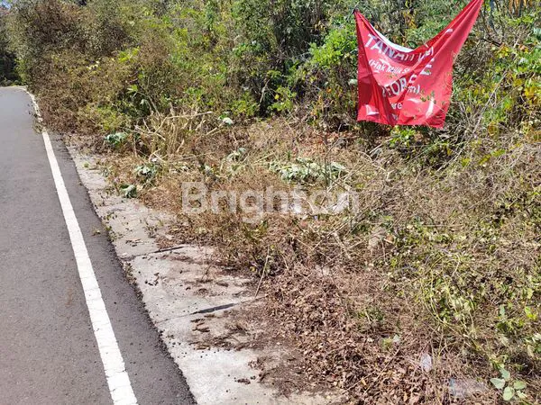 image JUAL TANAH SHM 430M² KAMPIAL NUSA DUA, LOKASI BERKEMBANG PESAT (4)