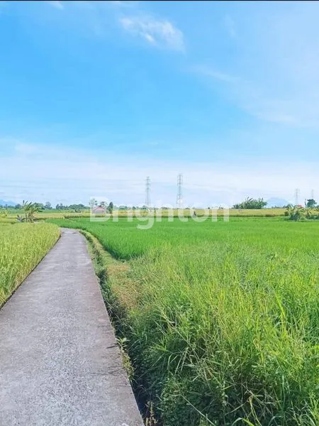 image TANAH SEWA EKSKLUSIF 250M² DEKAT JOGGING TRACK CEPAKA (2)