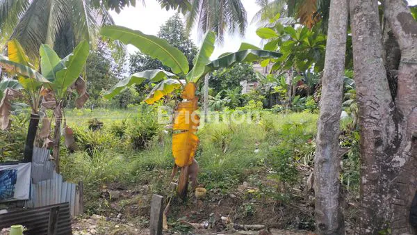 image TANAH KERAS SIAP BANGUN DAERAH BALIKPAPAN UTARA (3)