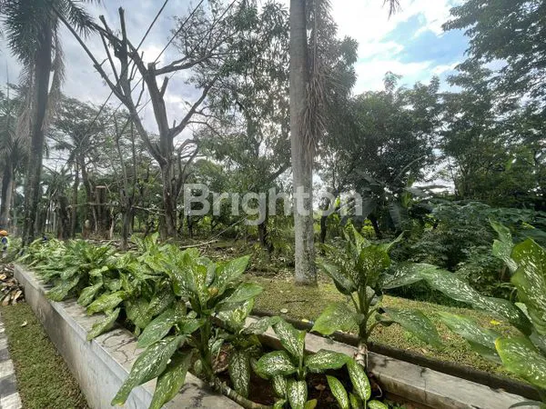 image TANAH LUAS & STRATEGIS DI BINTARO (4)