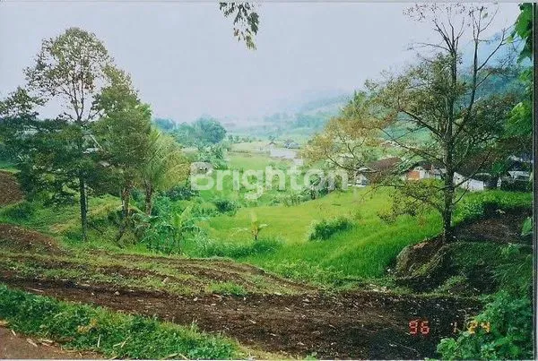 image LAHAN STRATEGIS TRAWAS DEKAT RUSTIC MARKET DENGAN MATA AIR MELIMPAH SHM 3101M² (1)