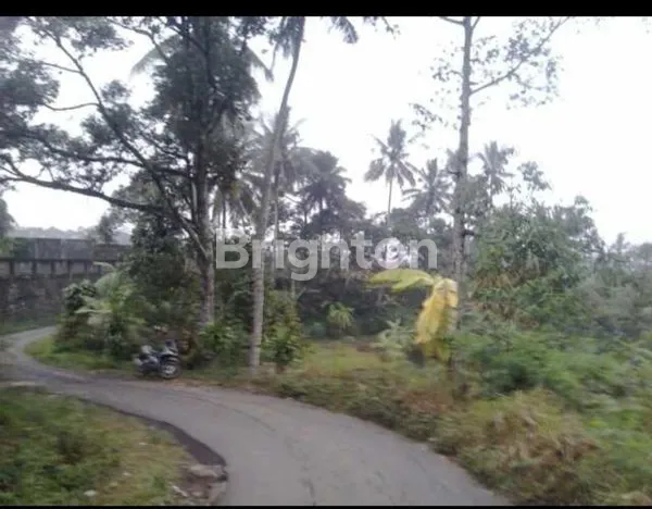 image JUAL TANAH SANGAT LUAS, COCOK UNTUK VILLA, GLAMPING DAN OUTBOND, CAFE DAN USAHA LAINNYA (1)