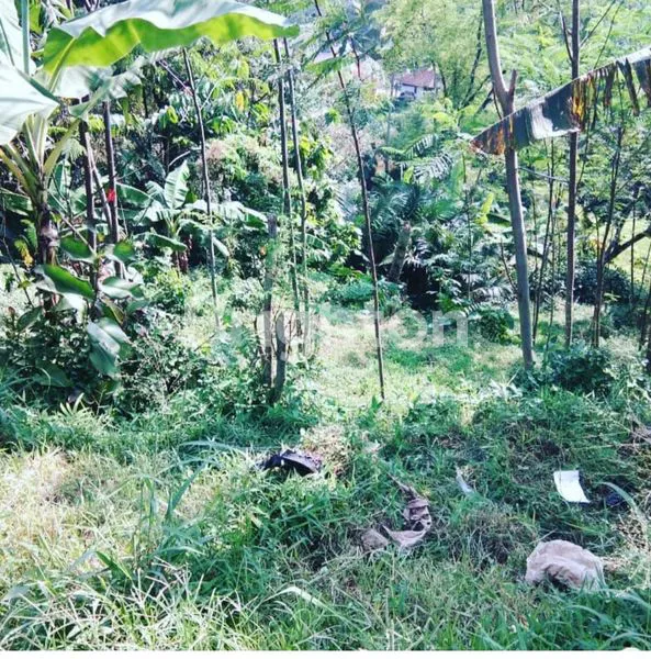 image JUAL TANAH SANGAT LUAS, COCOK UNTUK VILLA, GLAMPING DAN OUTBOND, CAFE DAN USAHA LAINNYA (3)