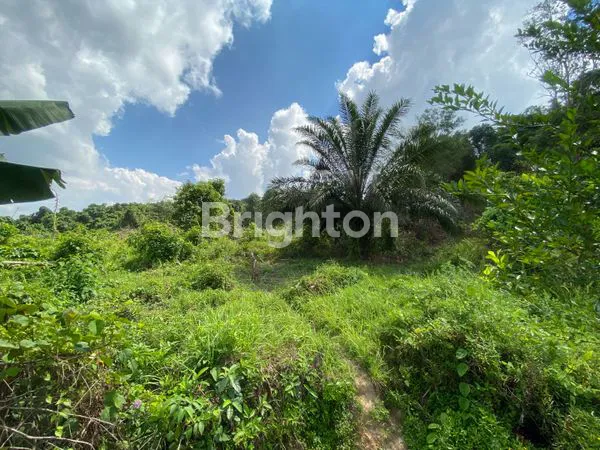 image DIJUAL  TANAH PREMIUM 5,9 HA DEPAN RING ROAD, INVESTASI EMAS (7)