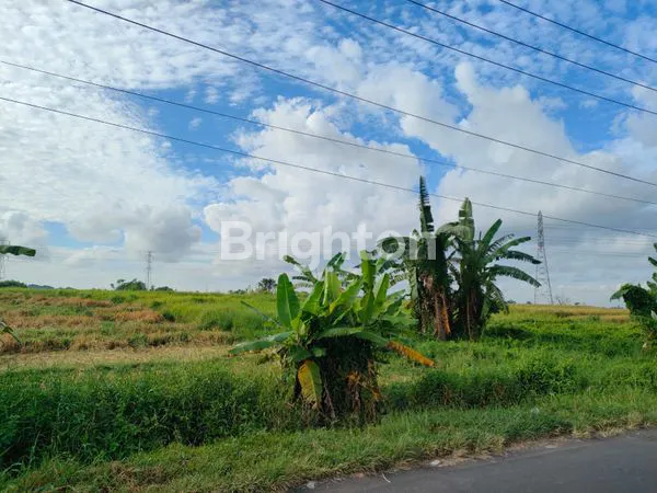 image TANAH SHM 590M² LOKASI EMAS DEKAT KRISNA & PANTAI LOVINA (4)