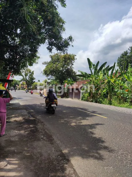 image TANAH SHM 590M² LOKASI EMAS DEKAT KRISNA & PANTAI LOVINA (2)