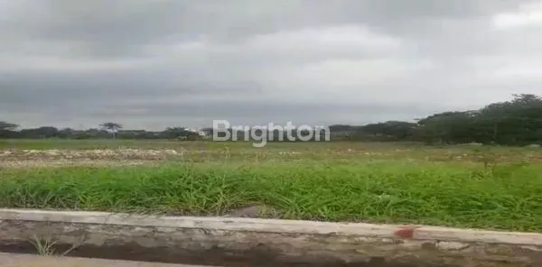 image TANAH PREMIUM 3 HEKTAR DI CIKUPA UNTUK KAWASAN INDUSTRI (1)