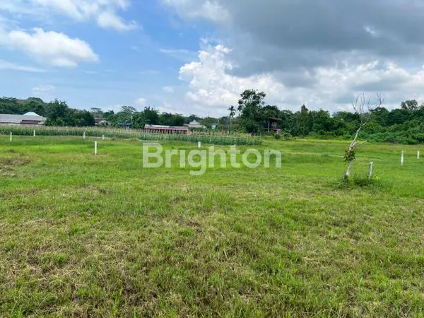 image TANAH KAVLING SIAP BANGUN DI TERITIP, AKSES JALAN RAYA (5)