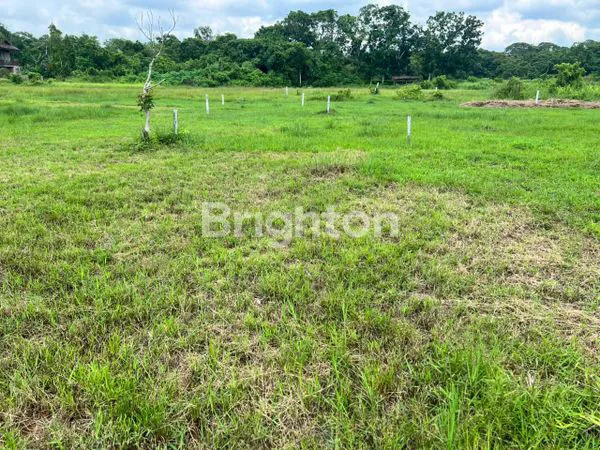 image TANAH KAVLING SIAP BANGUN DI TERITIP, AKSES JALAN RAYA (4)